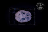 Detail of the brain's folds engraved in crystal