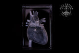 3D crystal anatomical heart engraved inside a clear crystal block