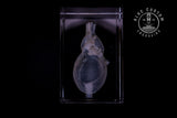 Detail of chambers and vessels in the anatomical heart crystal