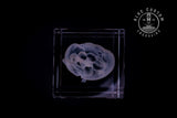 Anatomical heart crystal engraving viewed from the side