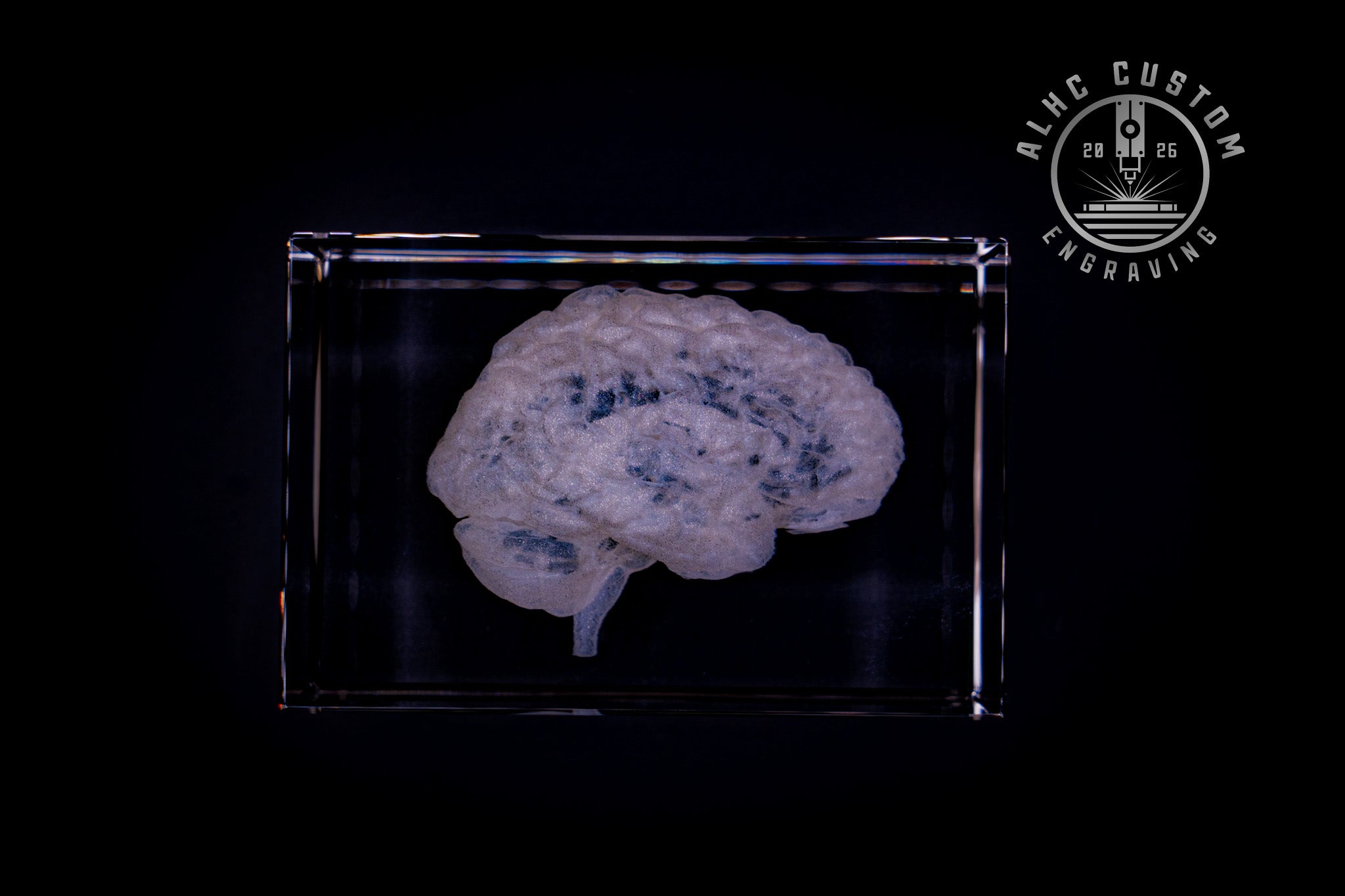 3D Crystal Anatomical Brain | Neuroscience Gift – ALHC Custom