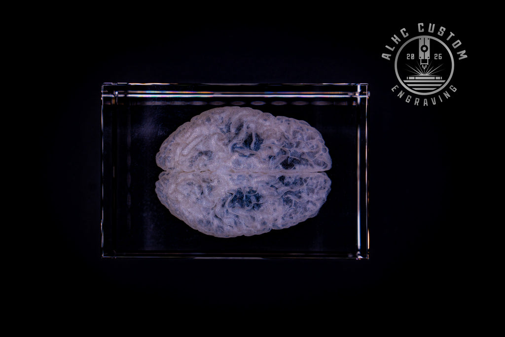 3D Crystal Brain