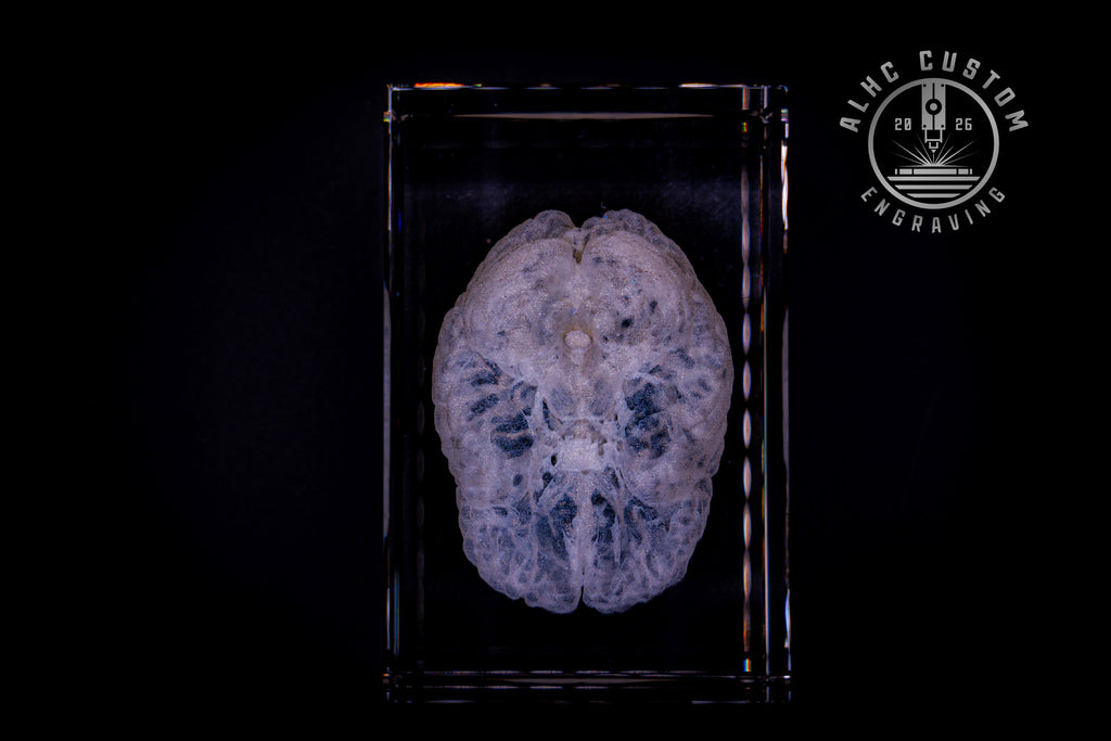 3D Crystal Brain
