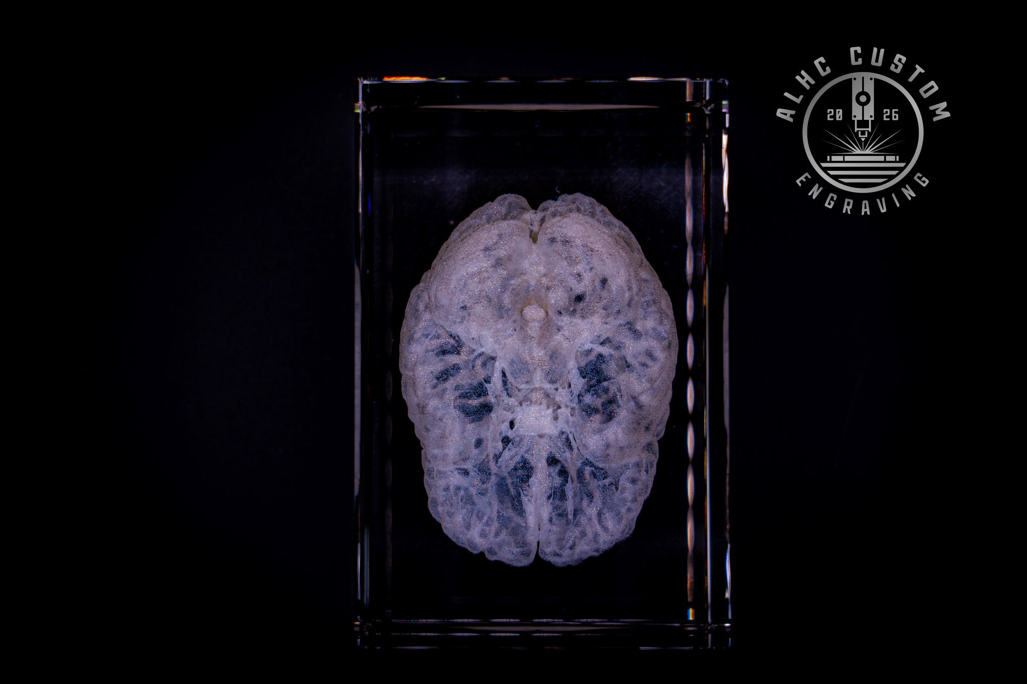 3D Crystal Brain