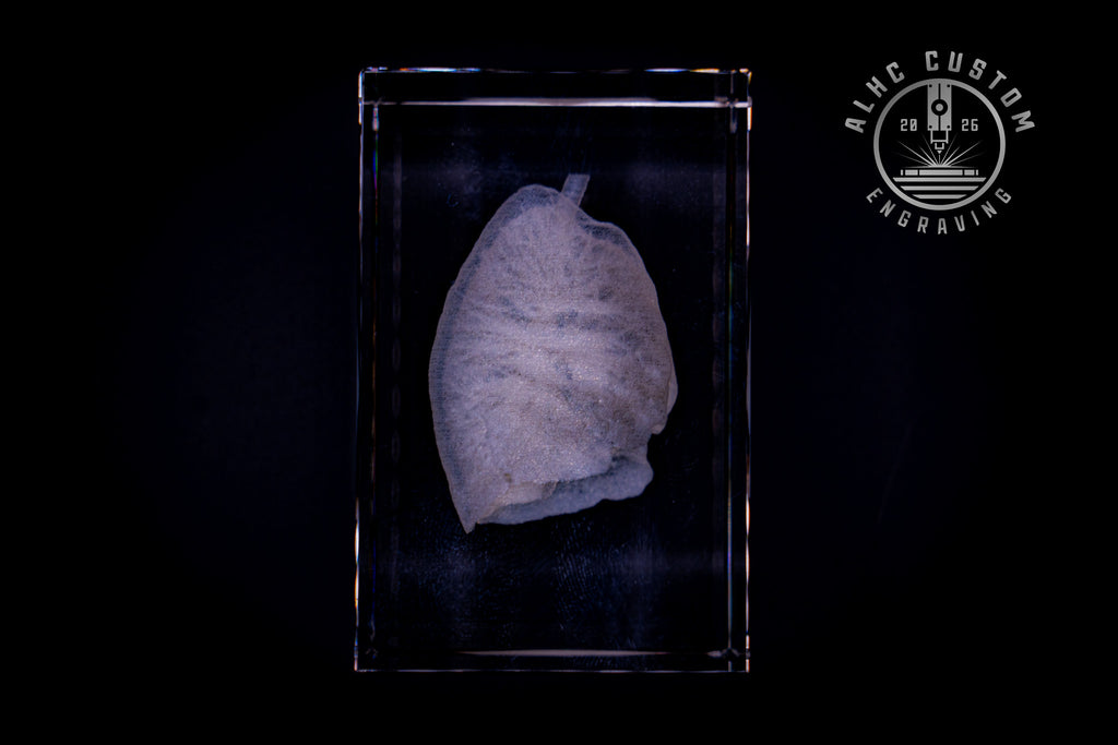 3D Crystal Lungs