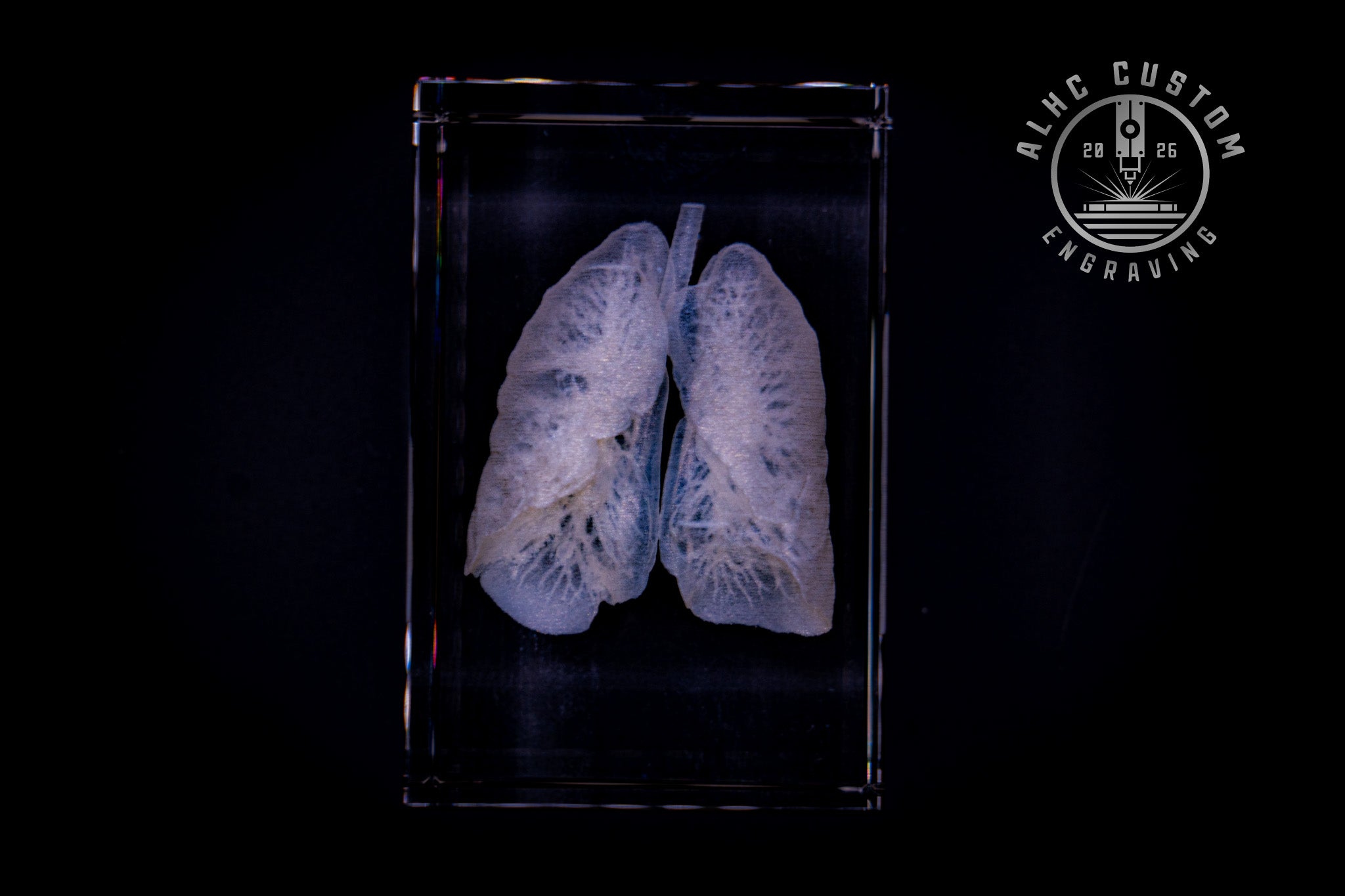 3D Crystal Lungs