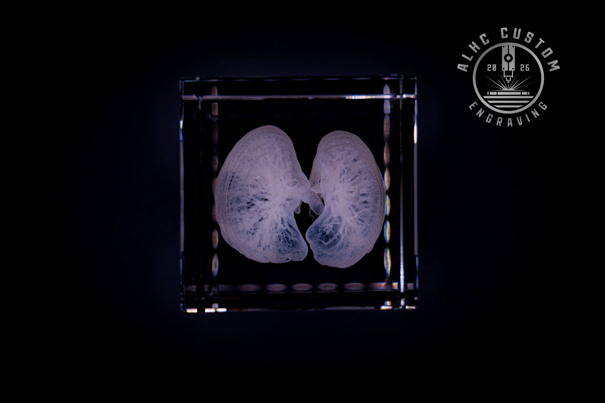 3D Crystal Lungs