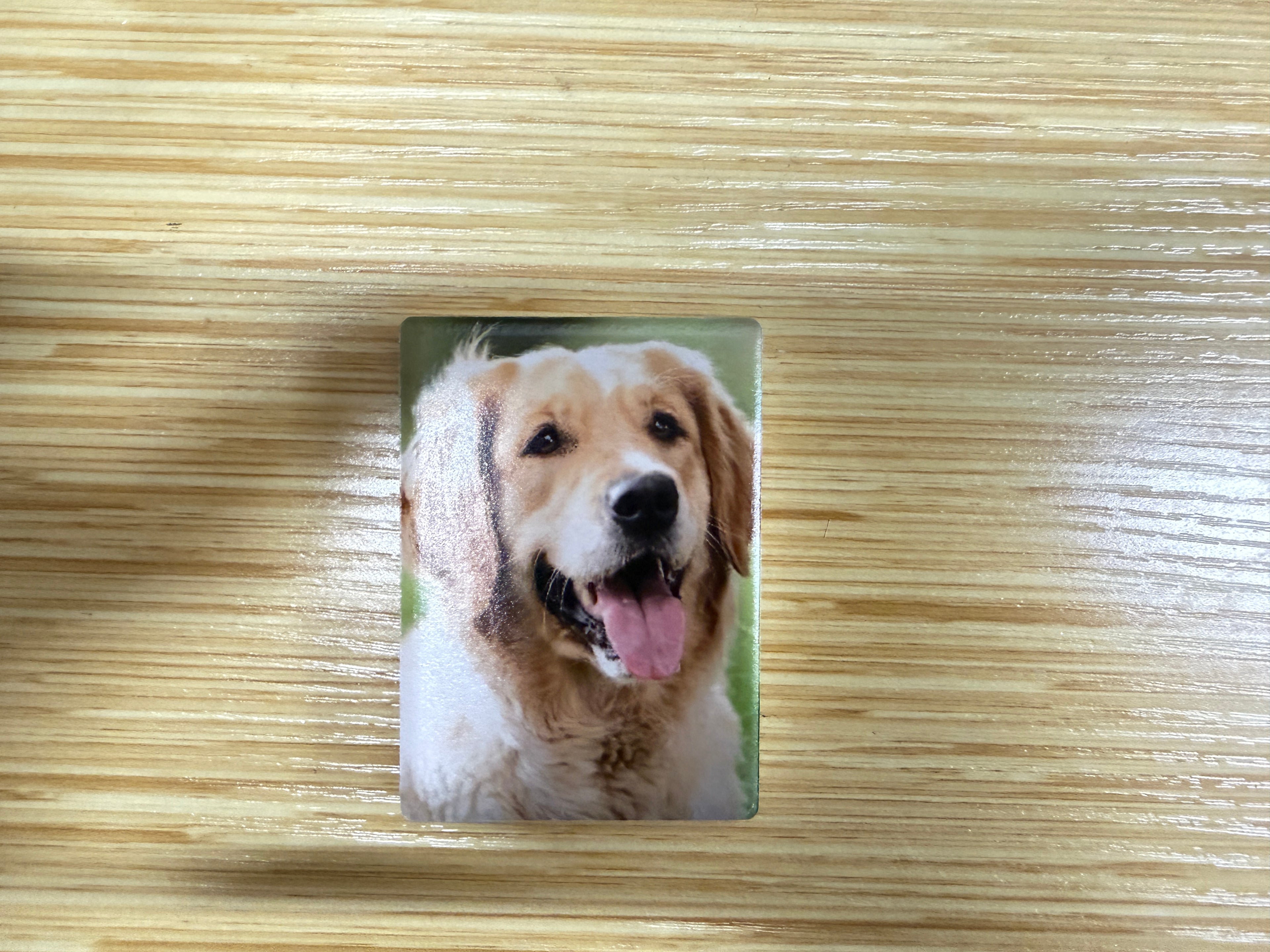 Custom Photo Magnet — Your Memories, UV Printed