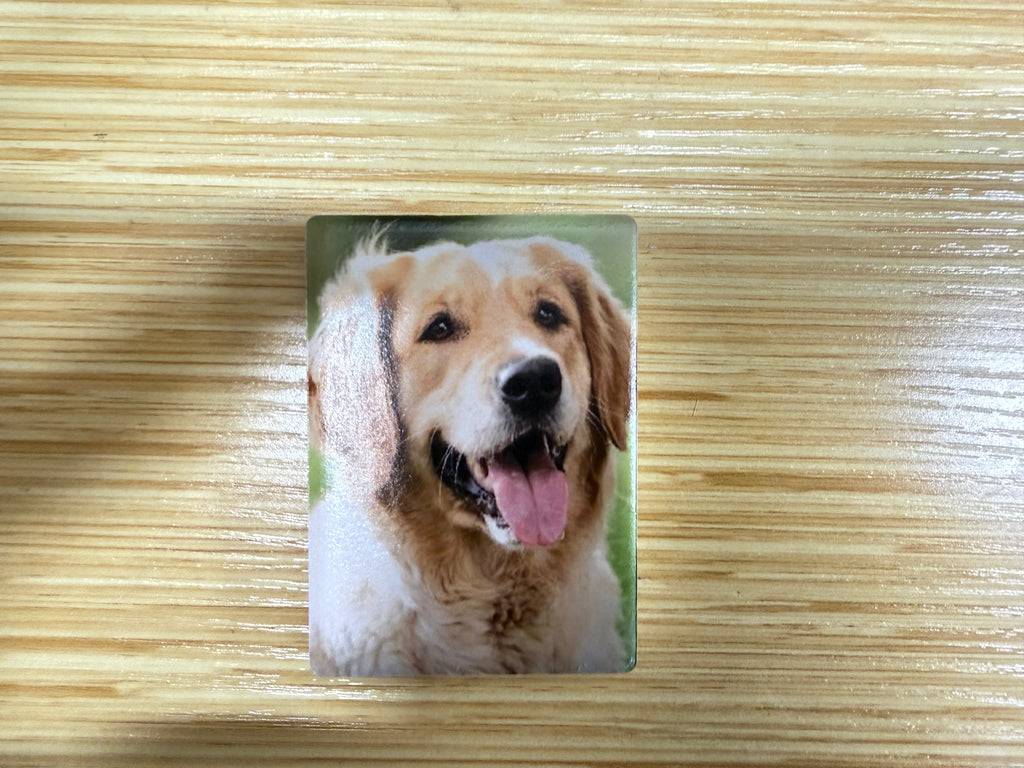 Custom Photo Magnet — Your Memories, UV Printed