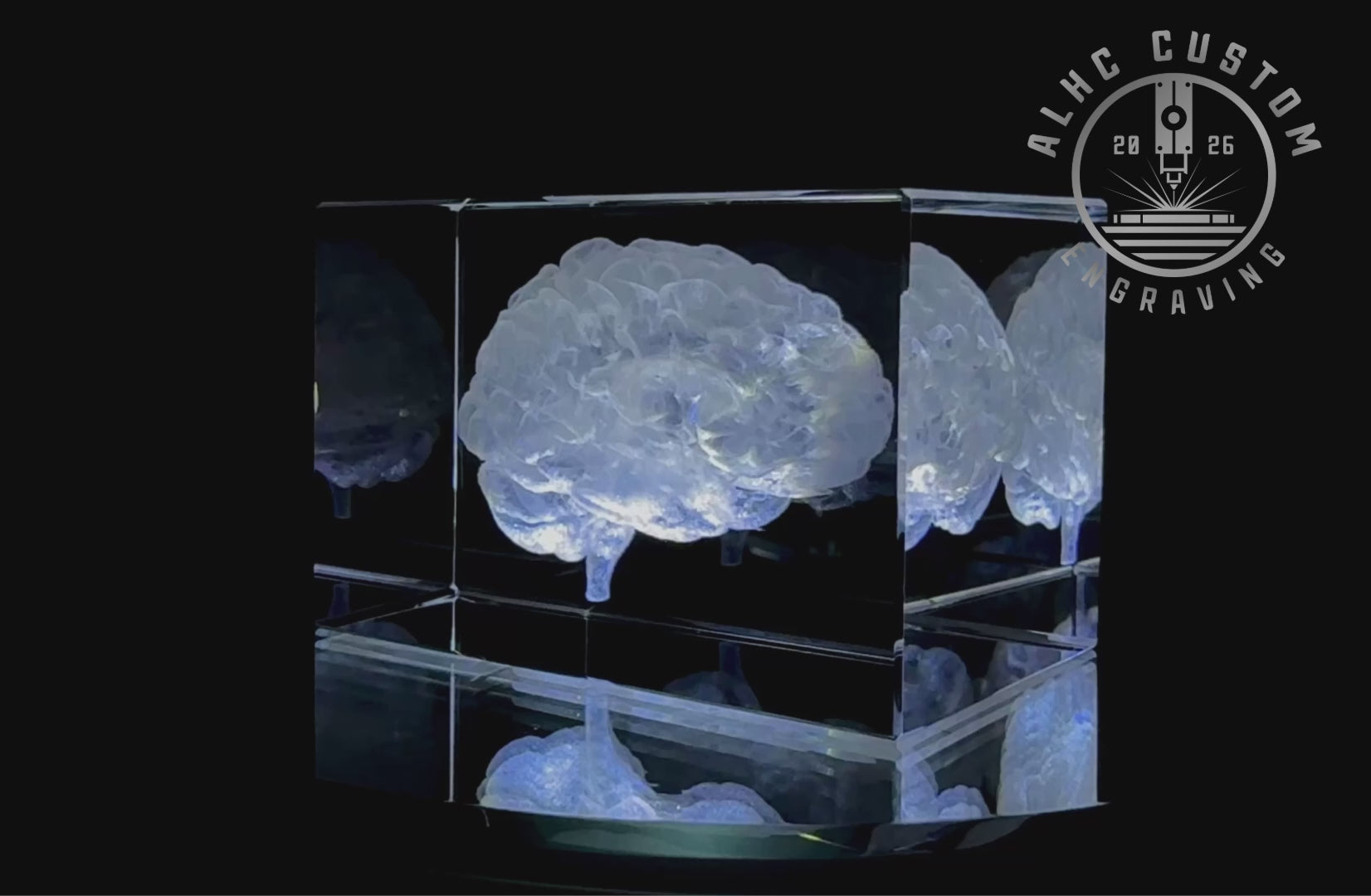 3D Crystal Anatomical Brain | Neuroscience Gift – ALHC Custom